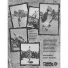Powell Peralta “a road, a town, anyplace anytime for any reason.”